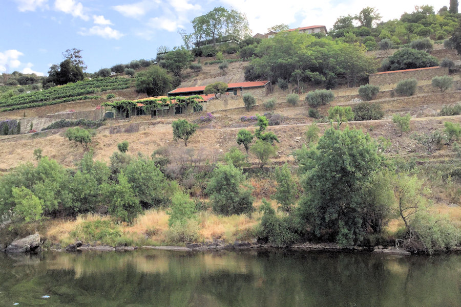 Terraced Quinta   photograph